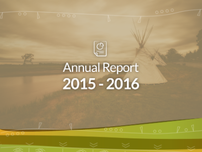 Annual report 2015–2016.